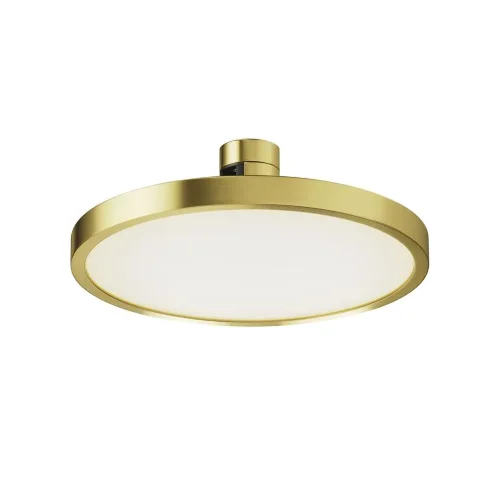 Трековый светильник Plato Flarity 4000K 10Вт 120° (Латунь) - фото