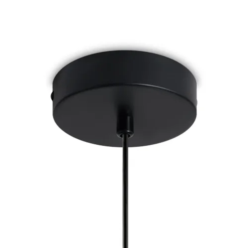 Подвесной светильник Freya FR5483PL-01B1 (Черный) - фото 2