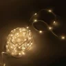 Гирлянда Роса Про 1м Тепло-Белая 24В, 10 LED, Провод Прозрачный ПВХ, IP65. Фото 3.