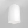Потолочный светильник Изящность / Slim 1*GU10 10 Вт (Белый) C014CL-01W - фото