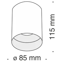 Потолочный светильник Изящность / Slim 1*GU10 10 Вт (Белый) C014CL-01W