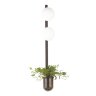 Настенный светильник «ODEON LIGHT» 4681/2WA, серия: FLOWER. Фото 1.