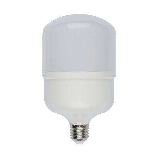 LED-M80-30W-DW-E27-FR-S Лампа светодиодная, Матовая, Серия Simple, Дневной свет 6500K, Картон. - фото 2