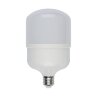 LED-M80-30W-DW-E27-FR-S Лампа светодиодная, Матовая, Серия Simple, Дневной свет 6500K, Картон. - фото 2