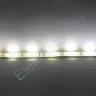 Светодиодная лента Standart PRO class, 5050, 30 led/m, Warm White, 12V, IP65 - фото 3.