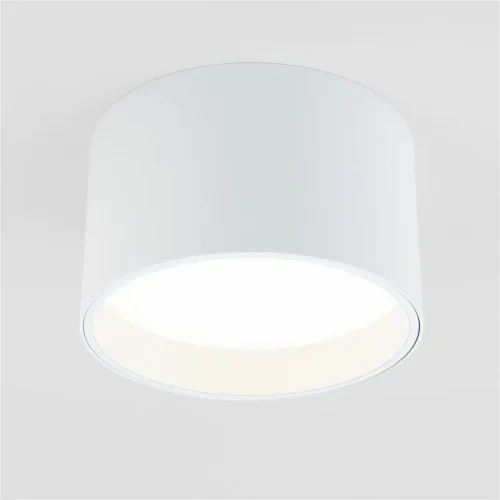 Накладной светодиодный светильник 25123/LED - фото