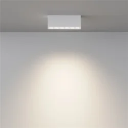 Потолочный светильник Points 3000K-6000K 12Вт 36° IP 20 (Белый)