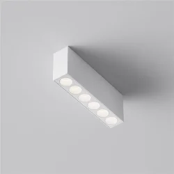 Потолочный светильник Points 3000K-6000K 12Вт 36° IP 20 (Белый)