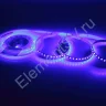 Светодиодная лента Standart Pro class, 2835, 120 led/m, 8mm, без скотча, blue, 24V, IP20, SL19 - фото.