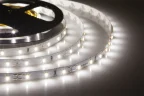Лента светодиодная ELF 300SMD диодов (3014), 12В, 5м, белая - фото