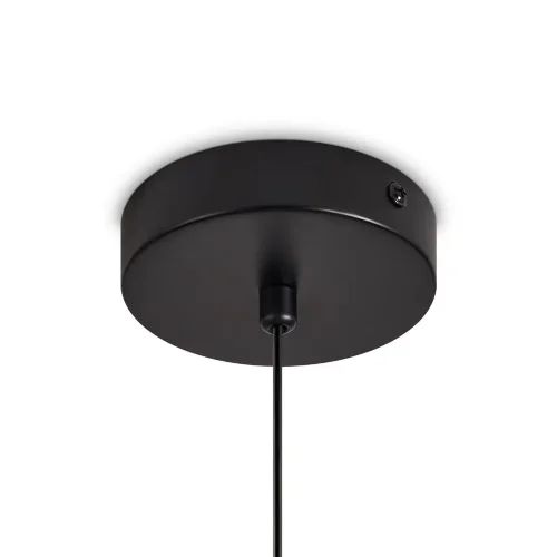 Подвесной светильник Freya FR5494PL-01TR (Черный) - фото 2