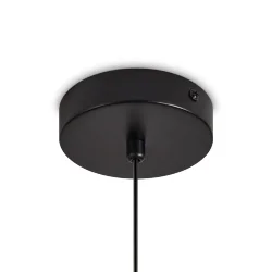 Подвесной светильник Freya FR5494PL-01TR (Черный)
