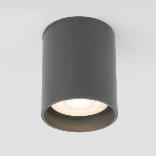 Уличный потолочный светильник Light LED 2104 IP54 35130/H серый - фото