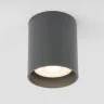 Уличный потолочный светильник Light LED 2104 IP54 35130/H серый - фото