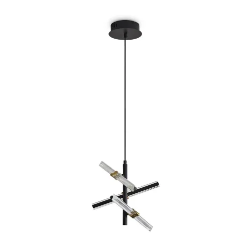 Подвесной светильник Freya FR5557PL-L14B (Черный) - фото 3