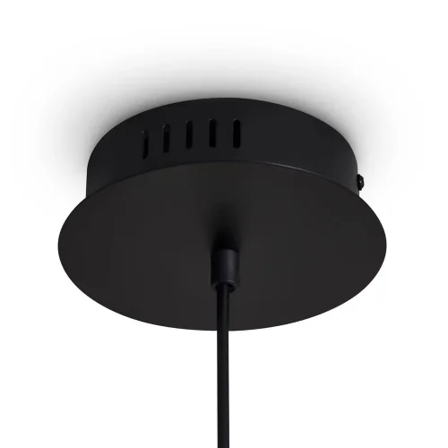 Подвесной светильник Freya FR5557PL-L14B (Черный) - фото 5