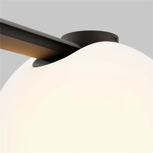 Трековый светильник Луна / Luna Arity 3000K 5т 120° (Черный) TR236-1-5W3K-B - фото 4