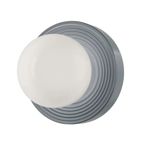 Настенный светильник (бра) Careless G9x1 (Серый) - фото