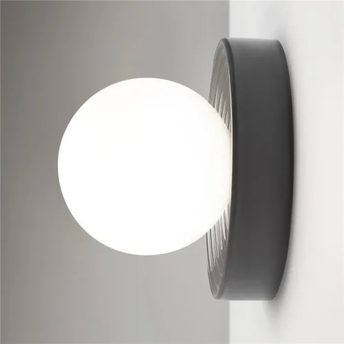 Настенный светильник (бра) Careless G9x1 (Серый) - фото 10