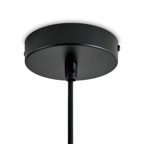 Подвесной светильник Альзаре / Alzare (Черный) FR5595PL-01B2 - фото 15