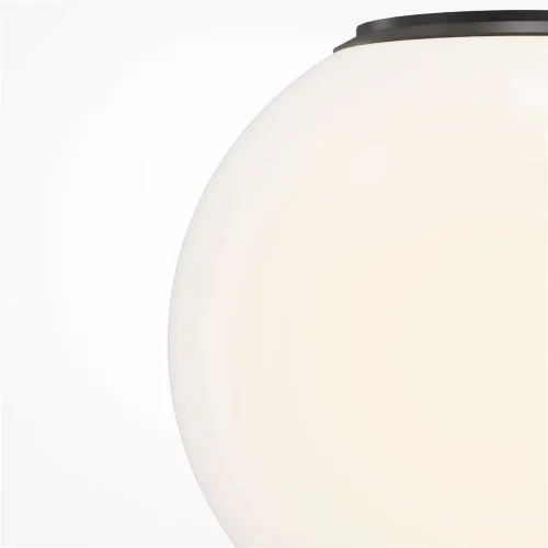 Потолочный светильник Twins 3000K 10Вт (Черный) - фото 2