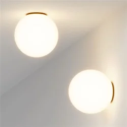 Потолочный светильник Twins 3000K 10Вт (Черный)