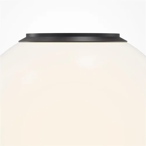 Потолочный светильник Twins 3000K 10Вт (Черный) - фото 5