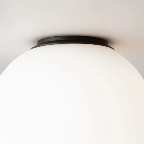 Потолочный светильник Twins 3000K 10Вт (Черный) - фото 11