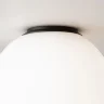 Потолочный светильник Twins 3000K 10Вт (Черный) - фото 11