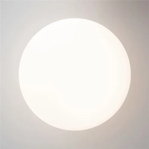 Потолочный светильник Twins 3000K 10Вт (Черный) - фото 12