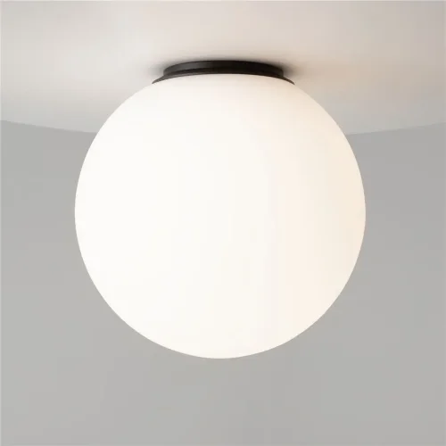 Потолочный светильник Twins 3000K 10Вт (Черный) - фото 13