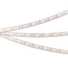 Светодиодная лента герметичная RTW-PS-А120-10mm 12V Warm2700 (9.6 W/m, IP67, 2835, 5m) (Arlight, 9.6 Вт/м, IP67) 028547(2) - фото 3