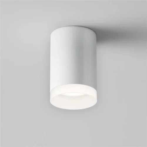 Потолочный светильник Pauline GU10 1x10Вт (Белый) - фото 3