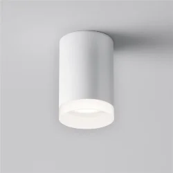 Потолочный светильник Pauline GU10 1x10Вт (Белый)