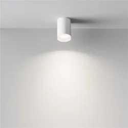 Потолочный светильник Pauline GU10 1x10Вт (Белый)