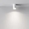 Потолочный светильник Паулина / Pauline 1*GU10 10 Вт (Белый) C008CW-01W - фото 4