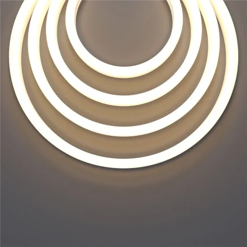 Гибкий неон 17x12 24В 10Вт/м 3000K IP67 5м (Белый) - фото 4