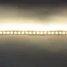 Светодиодная лента LUX class , 3014, 120 LED, Warm White, 12V, IP20 (8 мм) - фото I