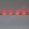Светодиодная лента Standart class, 5050, 30led/m, RGB, 12V, IP65 - фото 5.