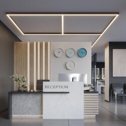 Светильник соединитель «Т» с переключателем цветовой темперетуры «Novotech» 359611, серия: FATTO - Переключатель цветовой температуры