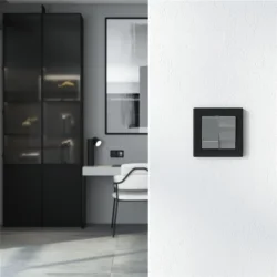 Выключатель двухклавишный (графит акрил) W1120044