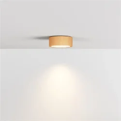 Потолочный светильник NUVOLT LDL-008RW (Дерево)