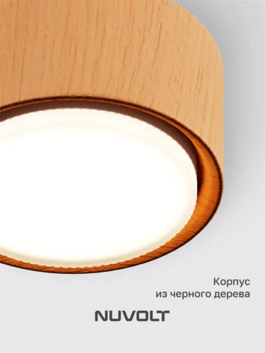 Потолочный светильник NUVOLT LDL-008RW (Дерево) - фото 8