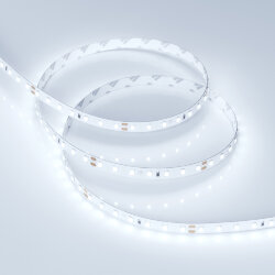 Светодиодная лента RT-А98-8mm 24V Cool 8К (10 W/m, IP20, 2835, 5m) (Arlight, 10 Вт/м, IP20) 019912(2)