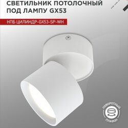 Светильник потолочный НПБ ЦИЛИНДР-GX53-SP-WH под лампу GX53 80х80мм белый IN HOME