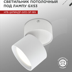 Светильник потолочный поворотный НПБ ЦИЛИНДР-GX53-SP-WH под GX53 80х80мм белый IN HOME