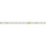 Светодиодная лента RT-А80-8mm 24V Warm2700 (6 W/m, IP20, 2835, 50m) (Arlight, 6 Вт/м, IP20) 024526(2) - фото 2