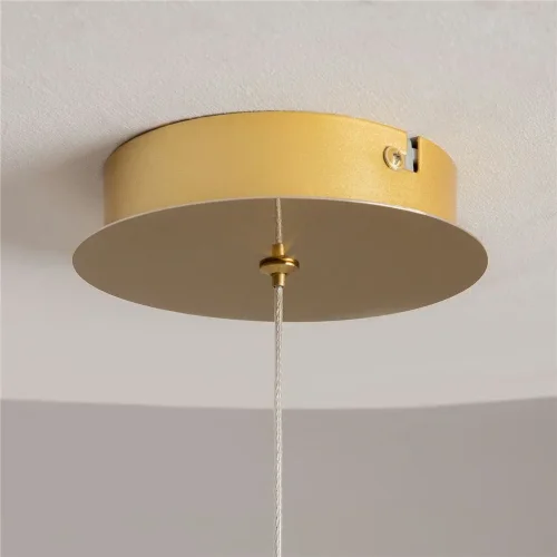 Подвесной светильник Foresight 3000К 8Вт (Латунь) - фото 7