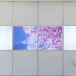 Светильник ЭЛИС PANEL LED ОБЛАКА4