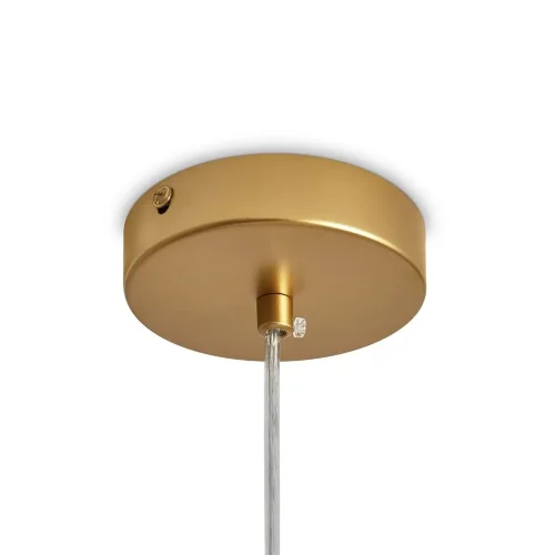 Подвесной светильник Freya FR5528PL-01BS (Латунь) - фото 3